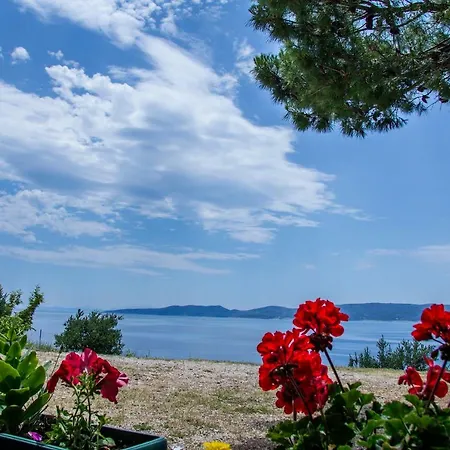 Larus-m Apartament